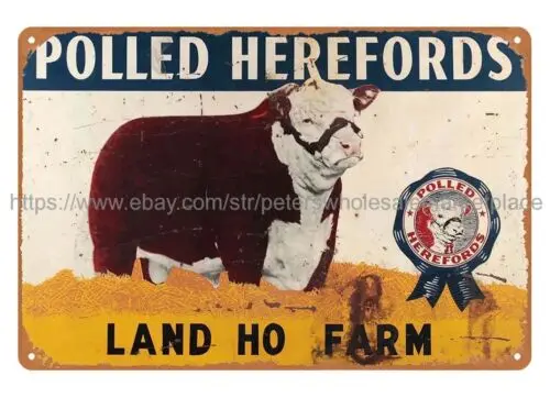 metal man cave Polled Herefords cattle cow livestock farm ranch metal tin sign