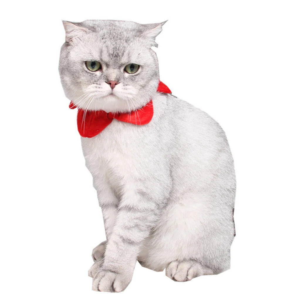 별 모양 애완동물 스카프 크리스마스 의상 이미지