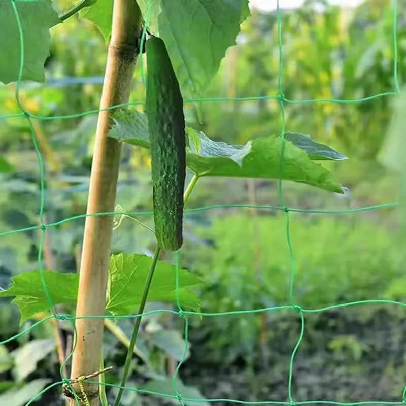 Rede de escalada de plantas com 9 fios, para pepinos, videiras, frutas, legumes, rede de treliça, durável, nylon, suporte de plantas, rede de malha