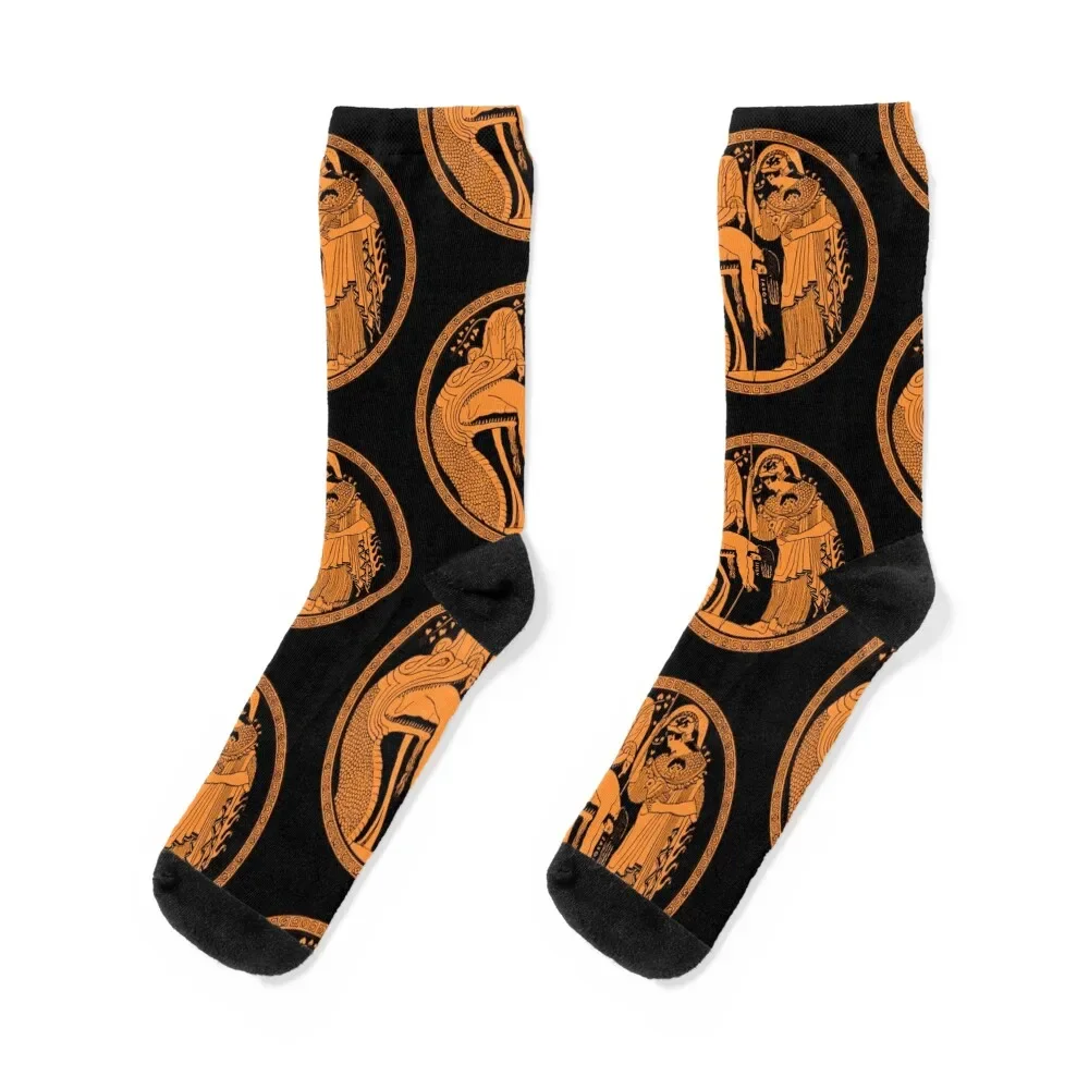 

Athena and Jason and the Golden Fleece Socks aesthetic funny gifts anti slip football soccer anti-slip Men Socks Women's