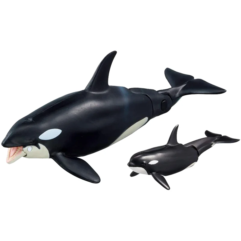 TAKARA TOMY Anlia Marine Animal Model Killer Whale Parent-child Floating Version Collection Children\'s Toy Birthday Gift