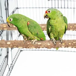 10/15/20cm Birds Accessories Grinding stick standing stick Parrots Tree Branch Cage Stand Rack Perches Chew Bite Toys Stick