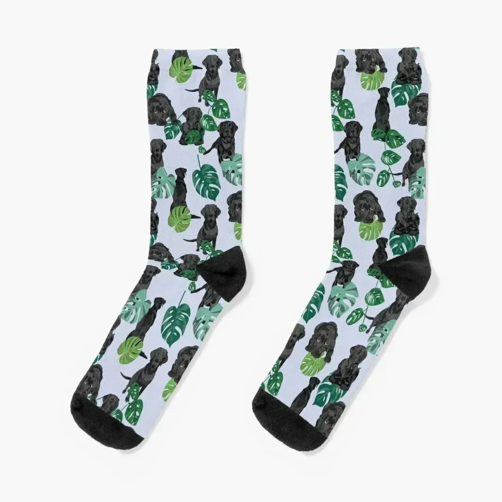 Black Labrador Tropical Socks ankle fashionable anti-slip Designer Man Socks Women's