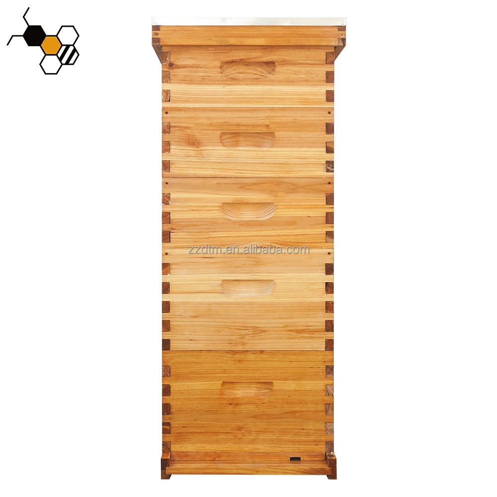 2026 High-Quality E…