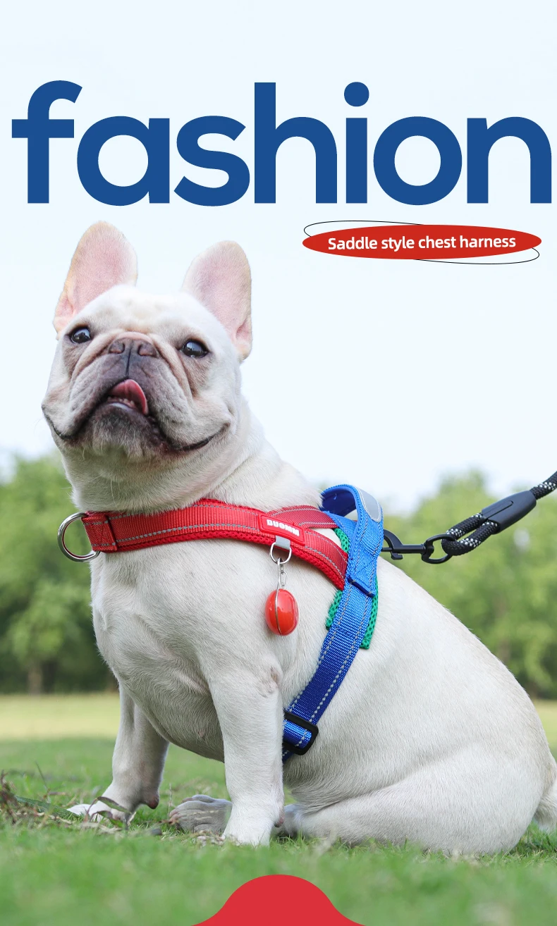 Hunde-Haustier-Brustgeschirr, breites Gurtband, zweifarbig, kontrastierend, vier Seadon-Hundegeschirr, Nylongriff, Outdoor-Hundegeschirr, reflektierend – Detail 1