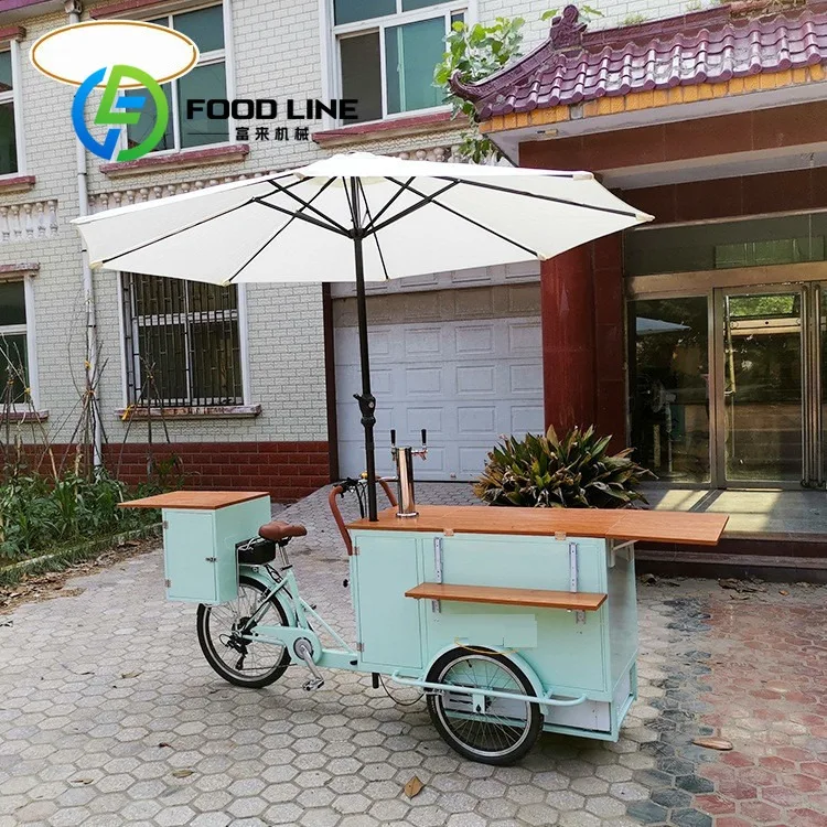 

CE Approved 3 Wheel Cargo Bike with Front Loading Customized Adult Electric Tricycle with Rain Cover