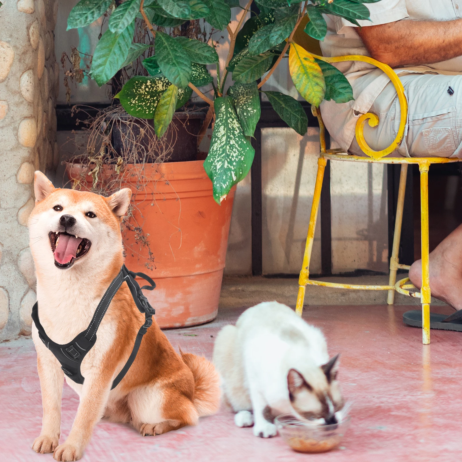 

1Pcs Professional Dog Fetch Harness Mount Camera Strap Adjustable Soft Chest Belt For Action Camera