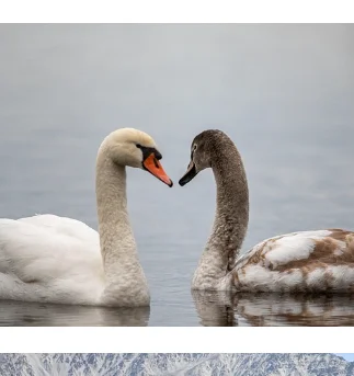 

Emslim Bekkenbodem Spier Послеродовой Spier Тренировочный Prostaat Luieling Массажная машина Stoel Машина для интенсивности мочи Подтяжка ягодиц