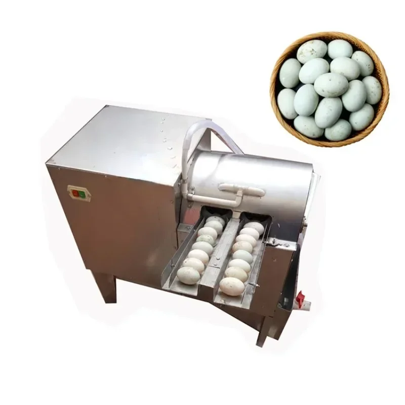 Hot Sales2000-3600pcs/h Capacity Goose Egg Washing Processing Cleaning Machine Wash Egg Machine For Sale