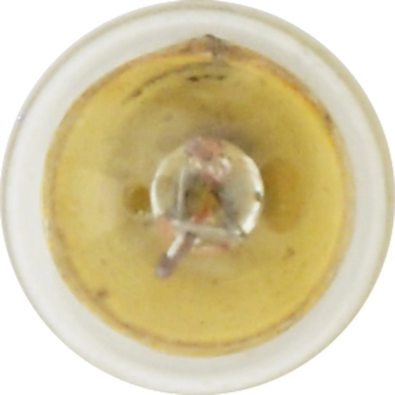 53 Lampadine in miniatura base, (contiene 10 lampadine)