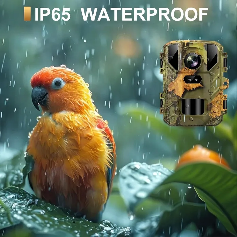 50MP 4K Mini Trail Camera with Night Vision  Outdoor Hunting Wildlife Unfiltered Waterproof Nature Unseen Captured Home Safety