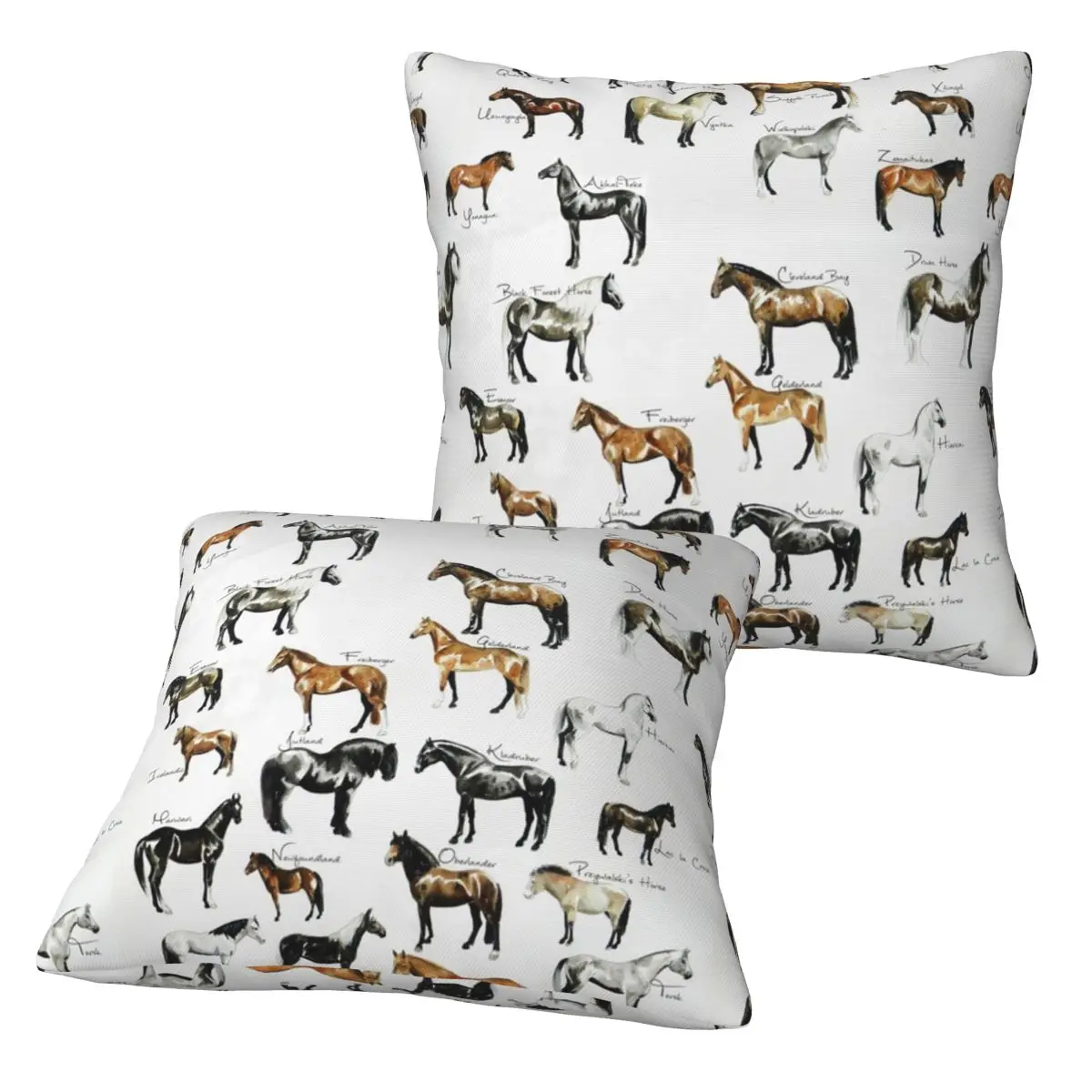 Rare Horse Breeds ABC 2 pcs Square Pillowcase Pillow Cover Cushion Zip Decorative Comfort Throw Pillow for Home Sofa