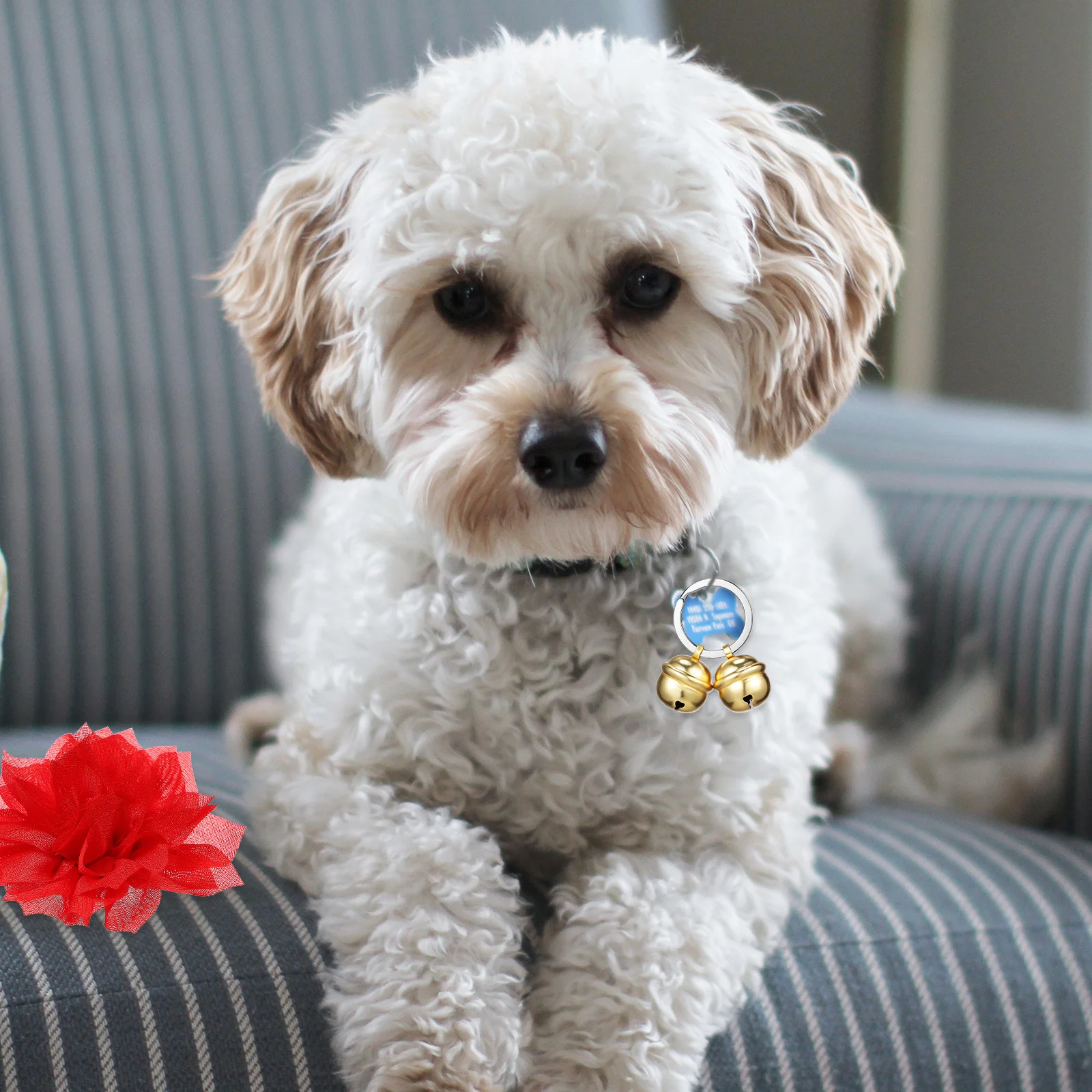 

1Set Copper Bell Pet Accessory Stylish Unique Decoration Lightweight Comfortable Cat Bells for Collar Small Dog Collar Bells