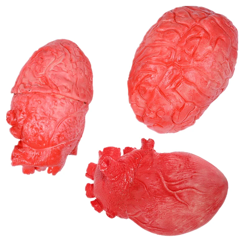 

D2 1PC Halloween Horrible Bloody Severed Horror Scary Human Heart Lifesize Scary Fake Rubber Gory Body Part Halloween Decoration