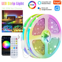 WS2812B RGBIC 5050RGB LED Strip Light App Control Chasing Effect Lights Flexible Tape Diode Ribbon TV BackLight Room Decorate