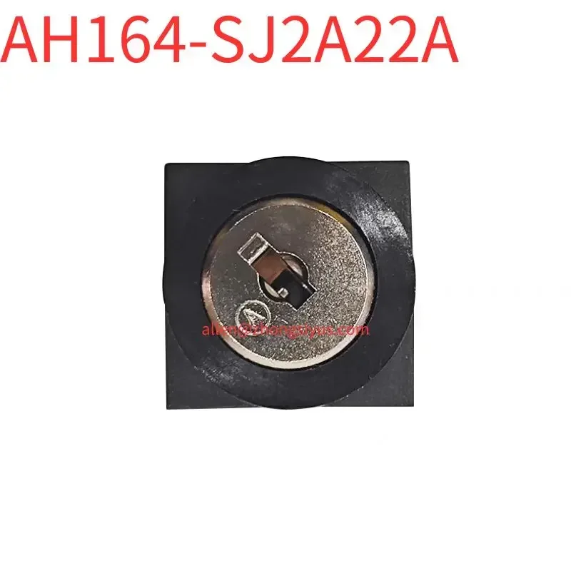 Brand new AH164-SJ2A22A Program Lock Switch System Program Protection Lock Key