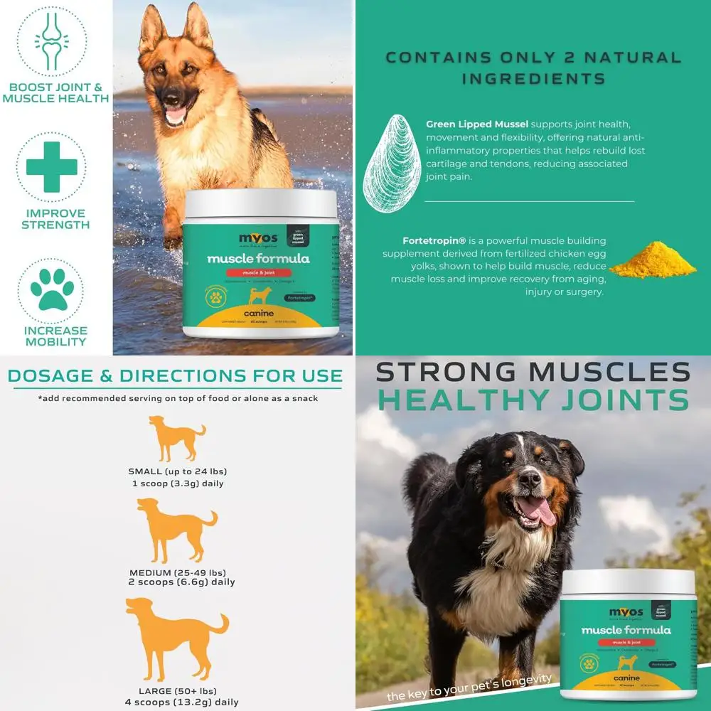 Myos Muscle & Joint… - image