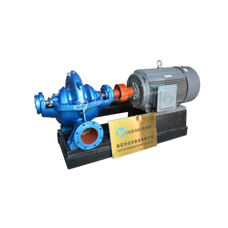 Electric Motor Powered Water Pump for Irrigation