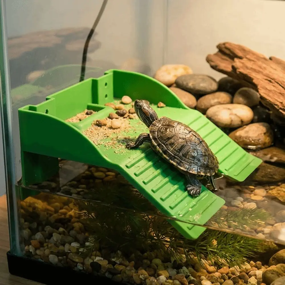 

Пластиковая платформа для черепах с присосками, устойчивая лестница для лазания, противоскользящее основание, двойная лестница, платформа для сушки на солнце