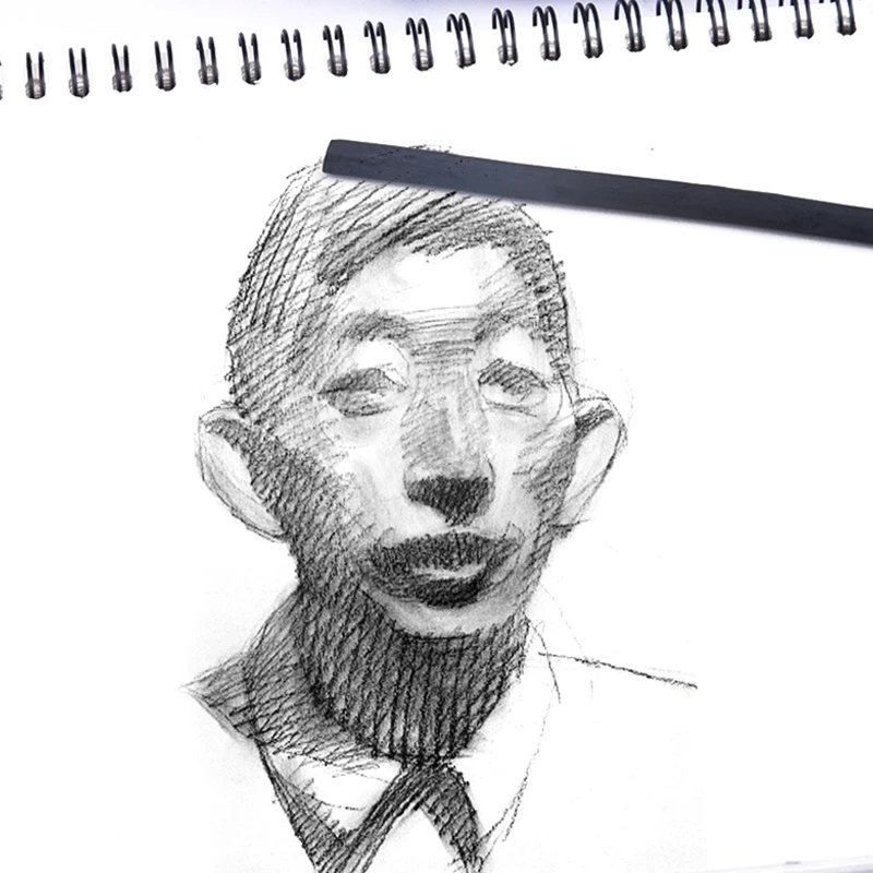 25 bastoncini carbone Vine, matite a carboncino, schizzi, disegni, materiali artistici