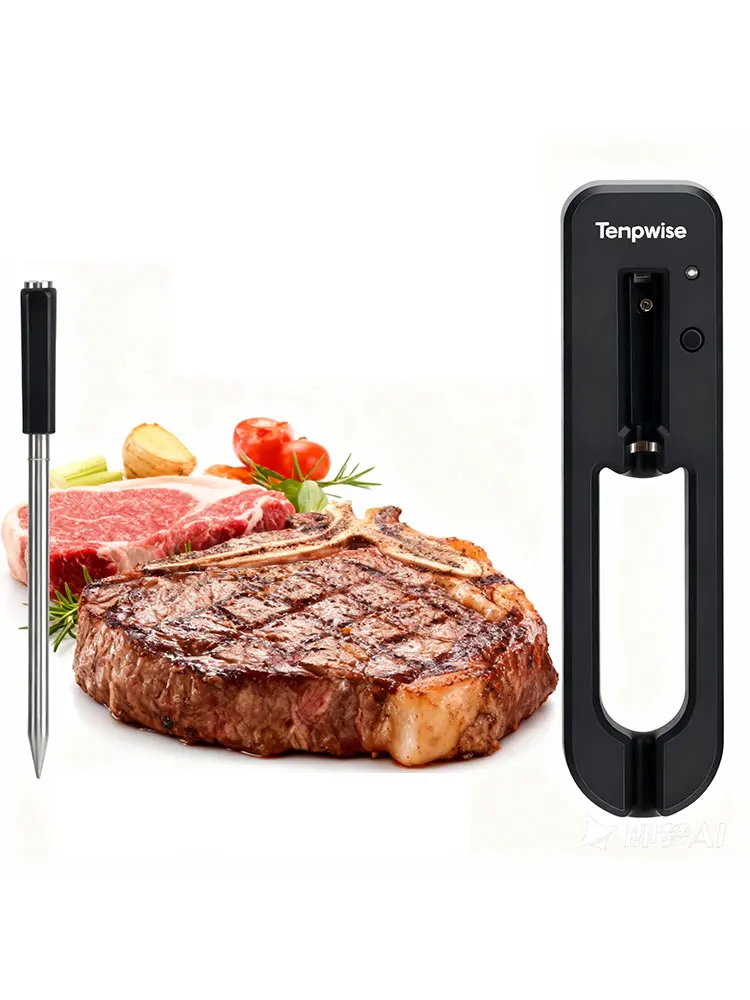 Tempwise – thermomètre à viande à double capteurs, application Bluetooth, télécommande, thermomètre alimentaire pour four, grill, barbecue, cuisine