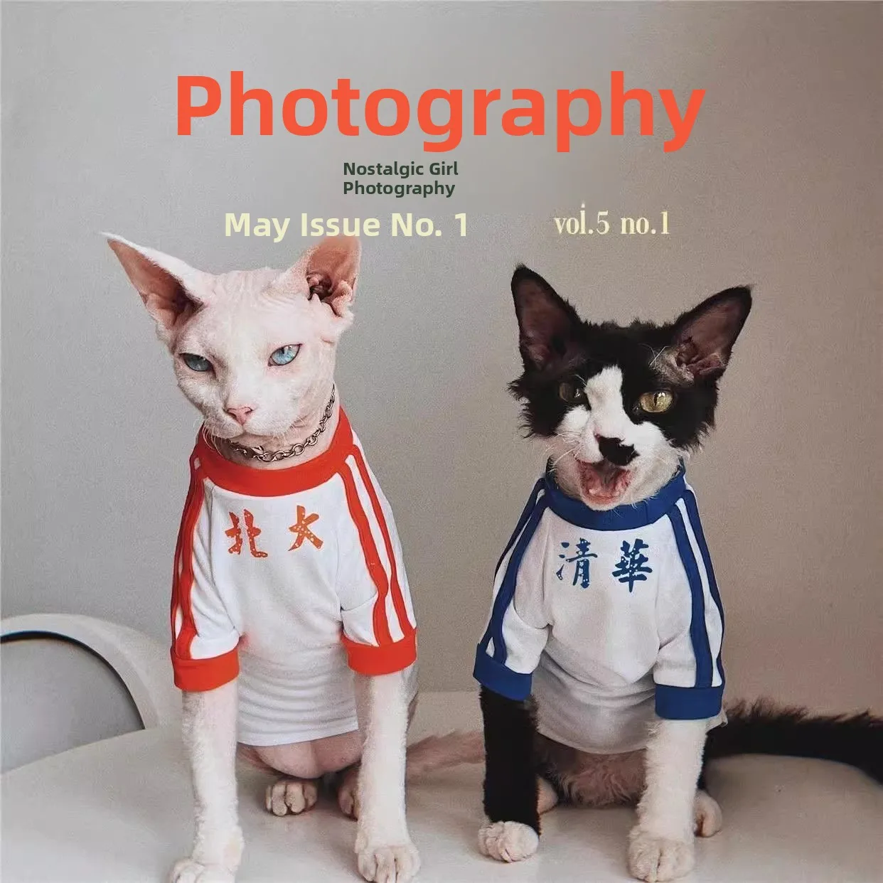 

Забавный немецкий костюм с короткими рукавами и тонкими штанинами для бесшерстных кошек, таких как сиамские и сфинксы. Теплая зимняя одежда для питомцев.