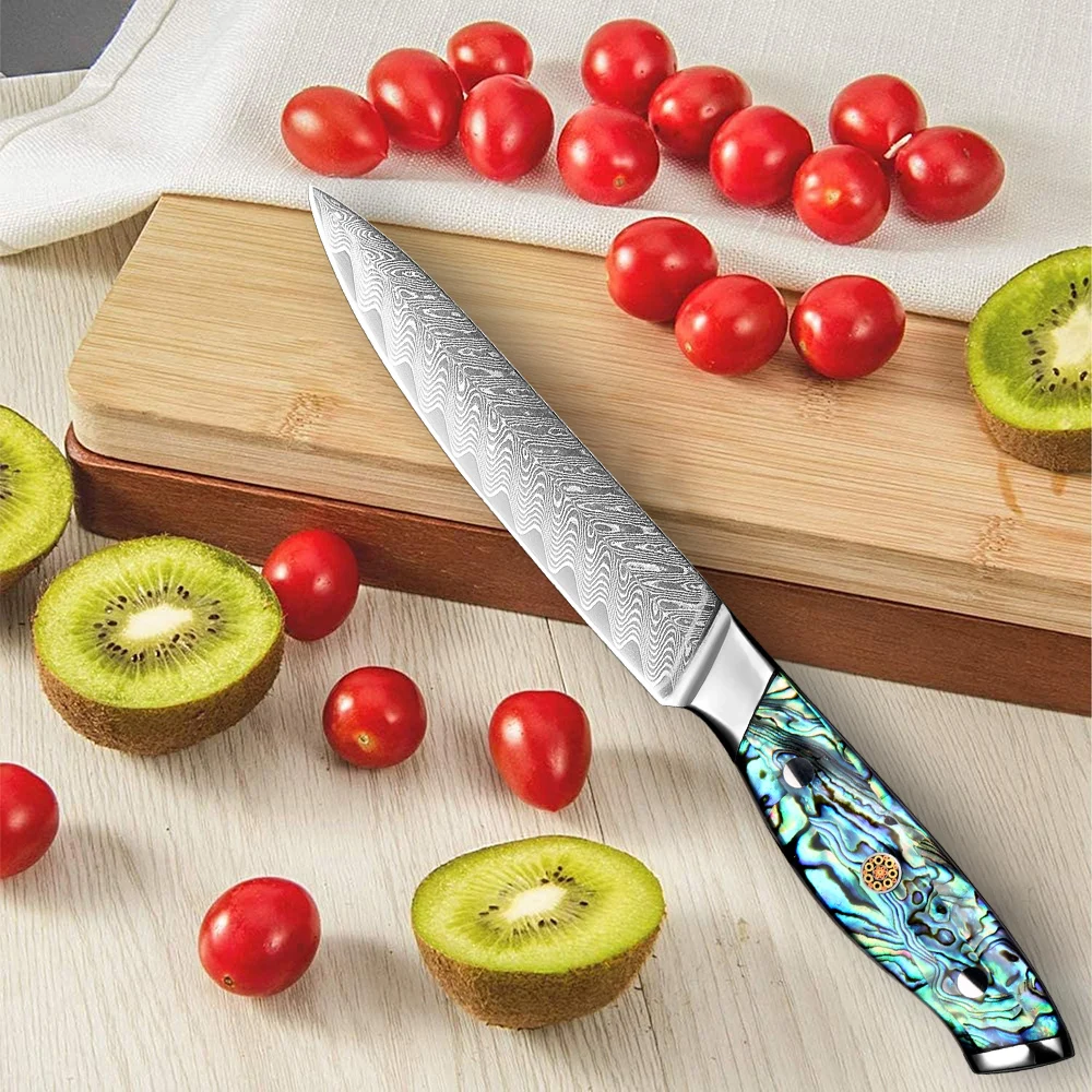 XITUO Küchenmesser 5 Zoll Damaszener Stahl Japanisches Kleines Kochmesser, Vielseitiges Messer für Gemüse Obst Fleisch mit Vollstiel