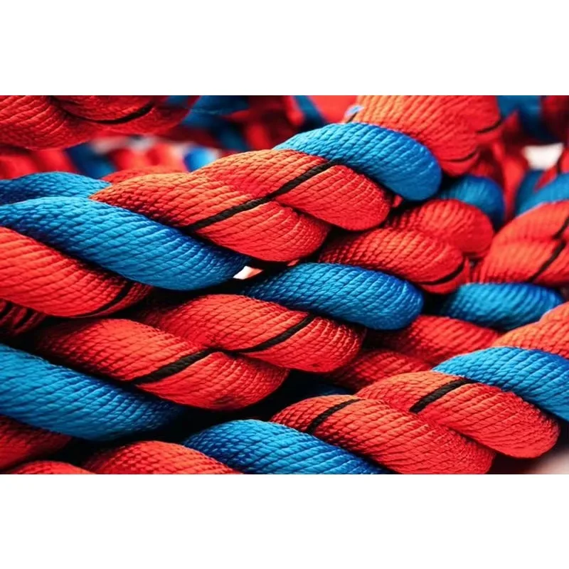 

30ft Poly Dacron Nylon Battle Rope Multicolor Metal Ends Custom Printing Training Rope