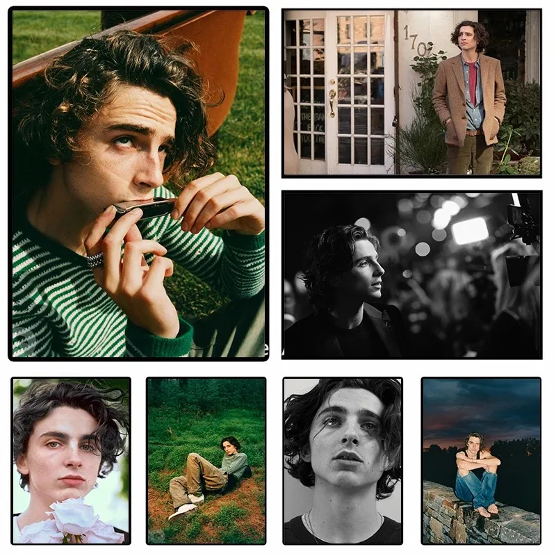 Timothee Chalamet Movie Star Posters Best Actor Retro Portrait Canvas Painting Wall Art Decoration Home Living Room Decoration