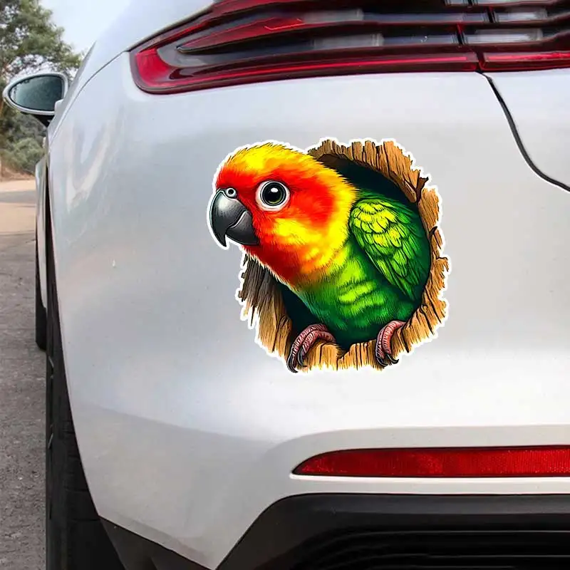 

Яркая наклейка с изображением попугая, виниловая наклейка, водонепроницаемая наклейка на заднее стекло, мотоцикл, кемпер, бампер, грузовик, украшение для ноутбука SH1559