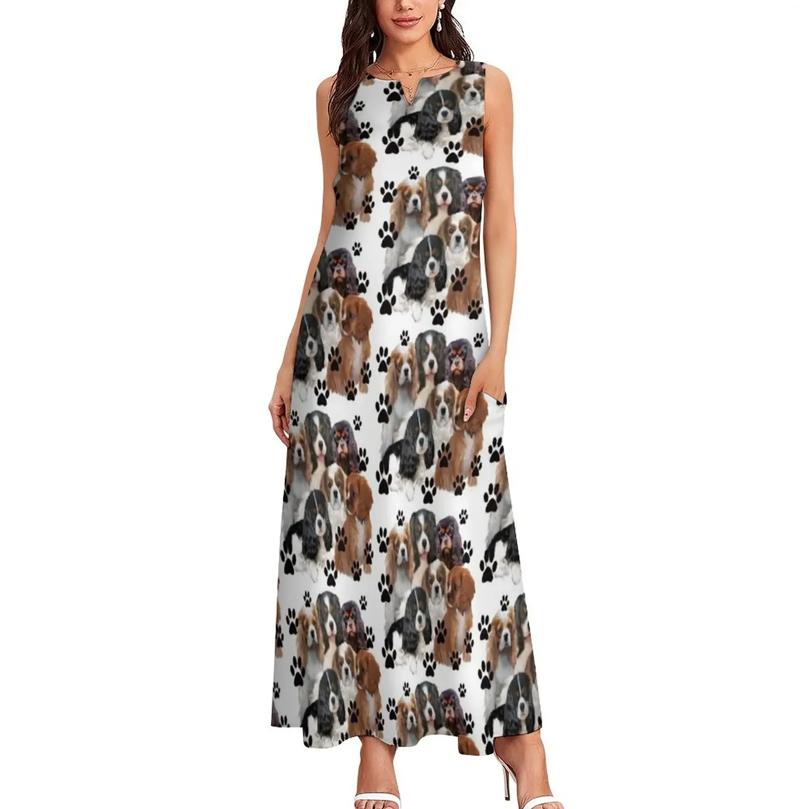 Cavalier Spaniel Family Group Long Dress party dresses women dresses for woman 2024