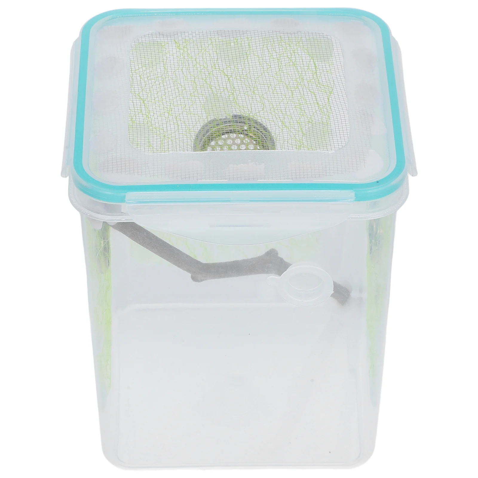 

Reptile Feeding Box Mantis Enclosure Clear Design Vent Holes Sturdy Plastic Portable Habitat Terrarium Small Reptiles Insects