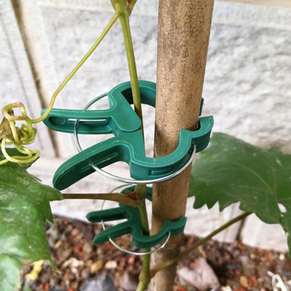 40pcs Garden Plant Fixed Clips for Vegetables Flowers Stem Vines Grape Clamp Support Straighten Stems Swallow Clip