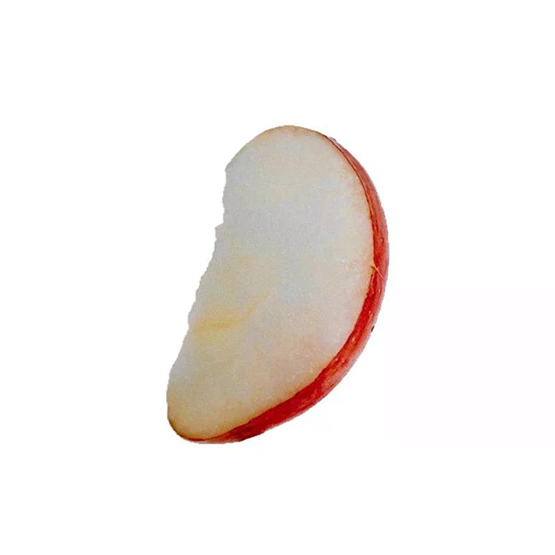 Creative Fruit Slice Bookmark With Simulation Funny Design Sense For INS Fixed Book Photography Cartoon Cute Note Bookmark