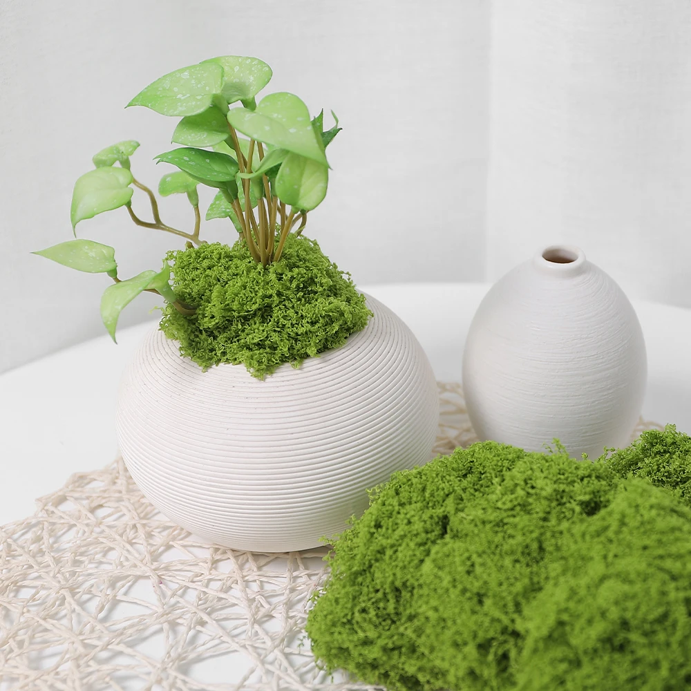 30/50/100G Grüne Künstliche Pflanzen Moos Gras für Home Room Decor Garten Dekoration Mini Landschaft Gefälschte blume Handwerk Ornament – Detail 7
