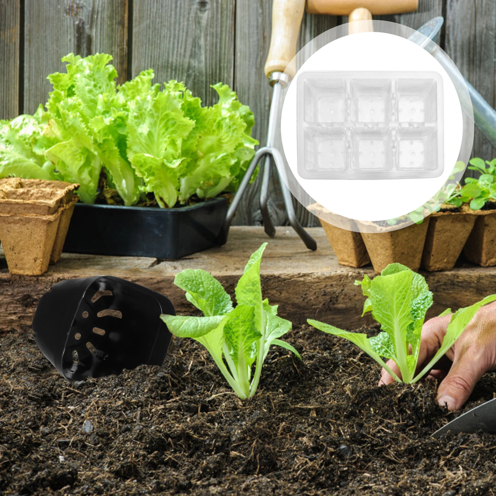 

10Pcs Six-Hole Durable Transparent Plastic Nursery Pot Seedlings Tray Plant Sprouting for Garden Planter