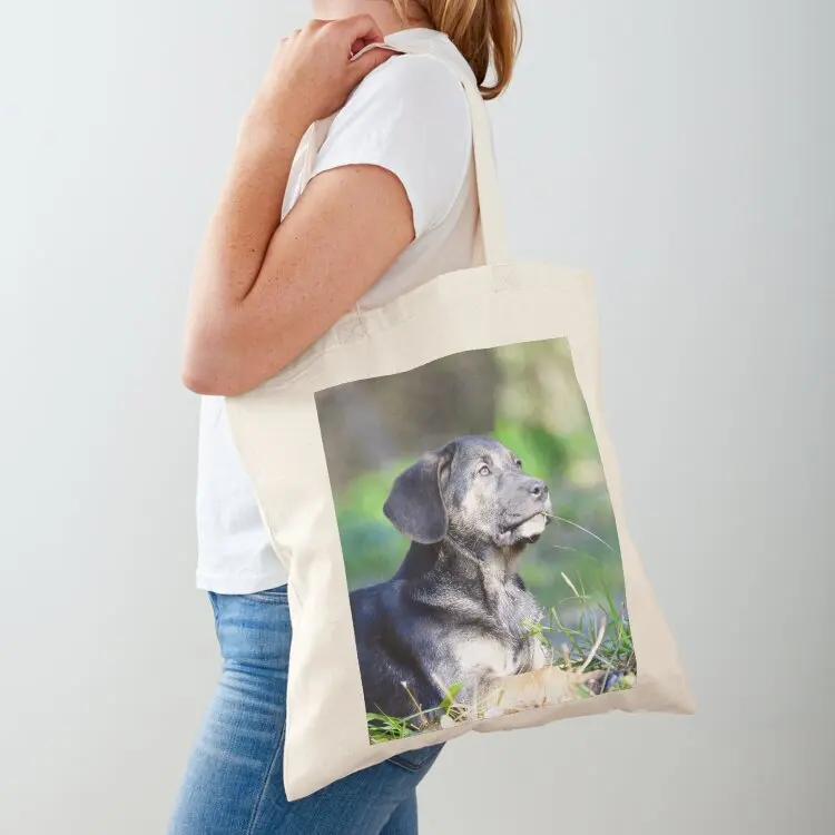 

An abandoned pup found with 6 more siblings in Malaga. Tote Bag tote bag canvas Women's bags eco bag folding
