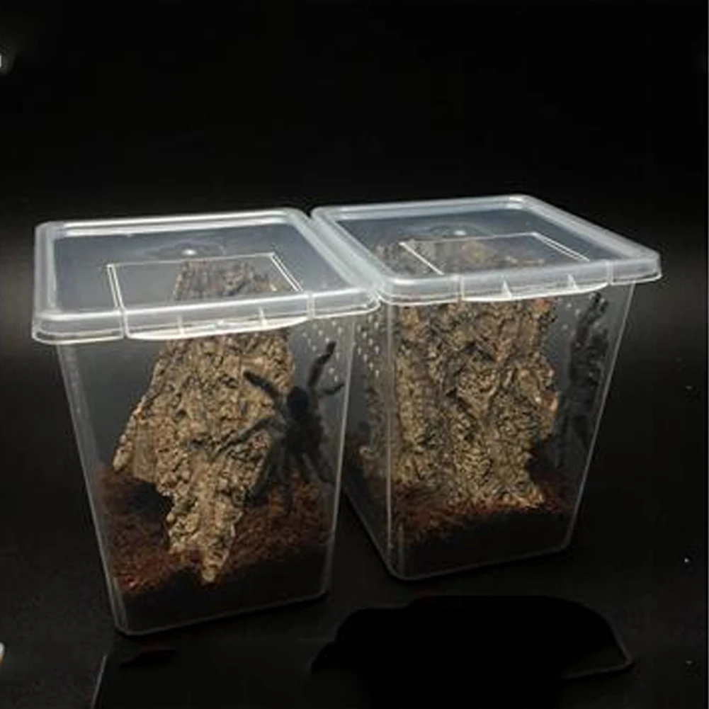 Caja de cría de reptiles con tapa abatible, transparente, transpirable para ranas, serpiente, Araña, suministros para mascotas