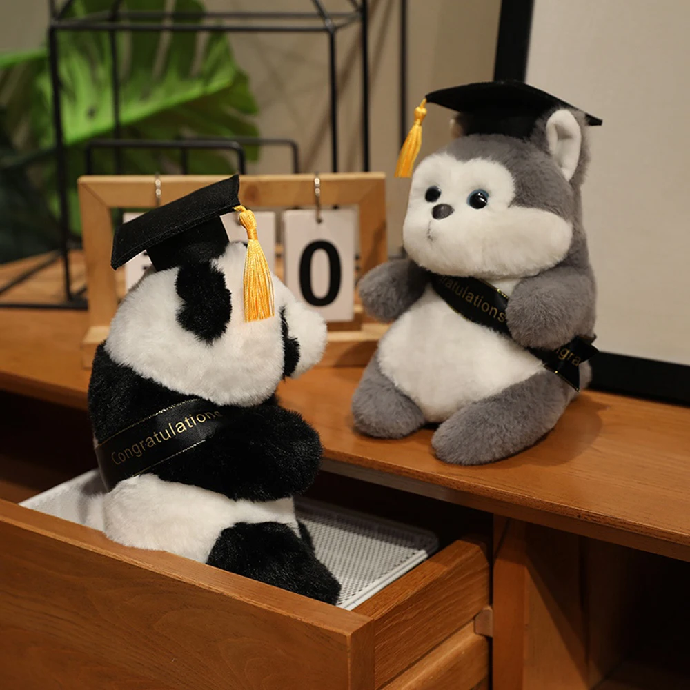 20cm 대학원 허스키 박제 동물 졸업 팬더 플러시 장난감 푹신한 여우 모자 가운 저렴한 대학 Souvenir 플러시 선물