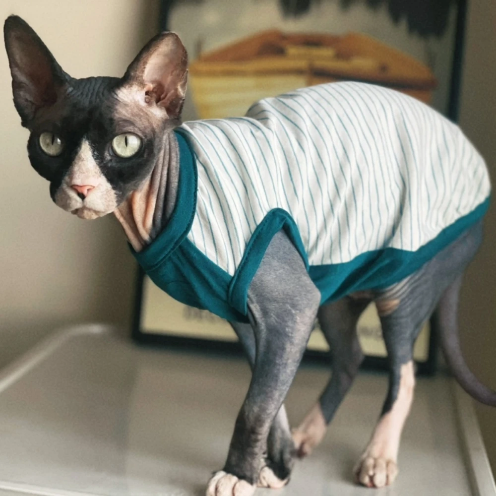 Striped Cotton Shirt for Sphynx Cat Soft Sleeveless Jumpsuit for Kittens Summer Vest For Devon Rex Spring Coat for Hairless cat