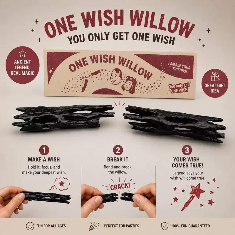 3D Printed Hollow Wish Willow Stick with Box Black Wish Branch Shaped Resin Ornament Black Twig Desktop Decor Novelty Craft Prop