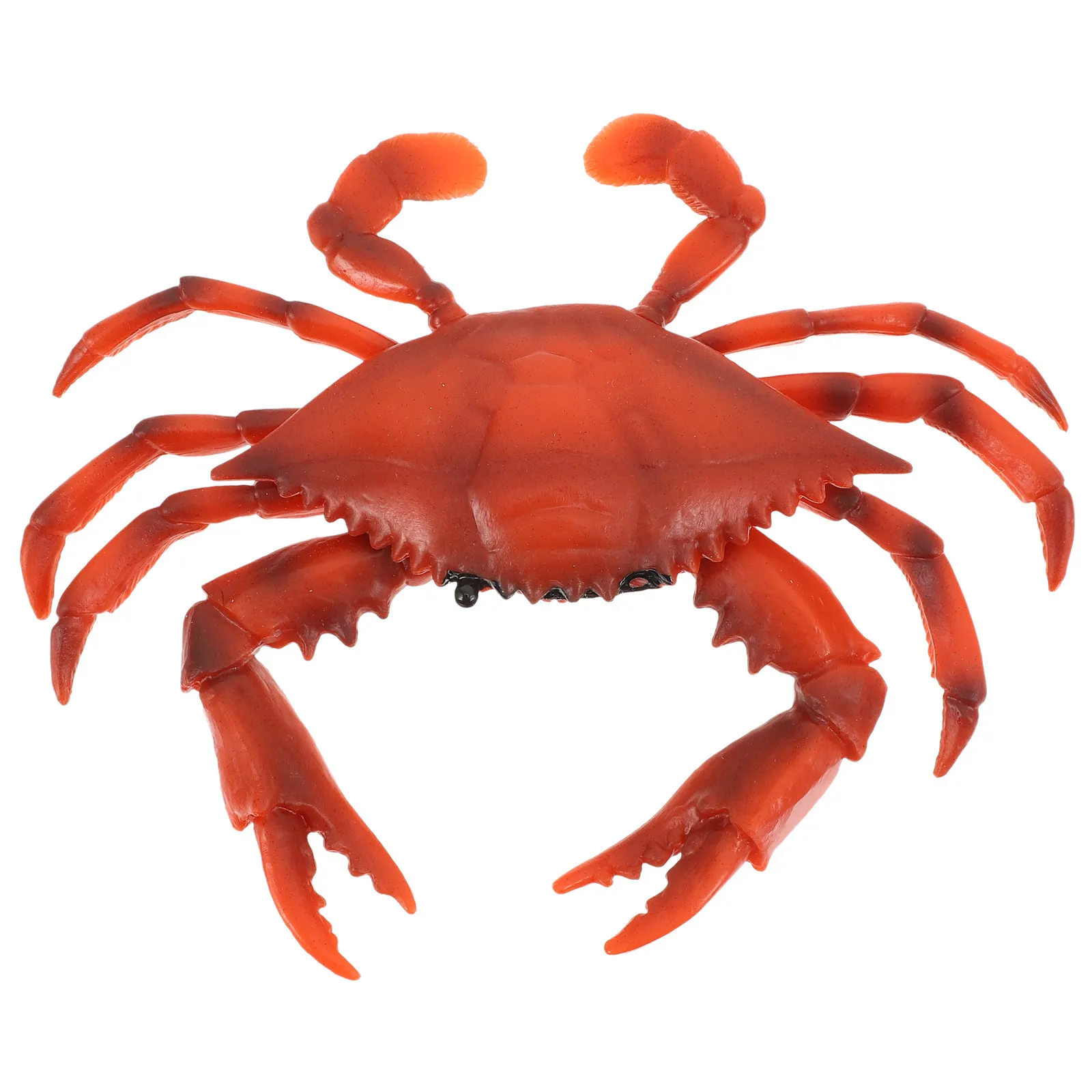 

1Pcs Simulated Marine Creature Realistic Sea Animal Educational Scientific Child Development Desktop Ornament Sea Animal Model