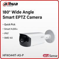 Dahua 180° Wide Angle Camera 4MP Smart EPTZ Network IP Camera SMD 4.0 Built in Mic IP67 Protection Human Detection HFW3441T-AS-P