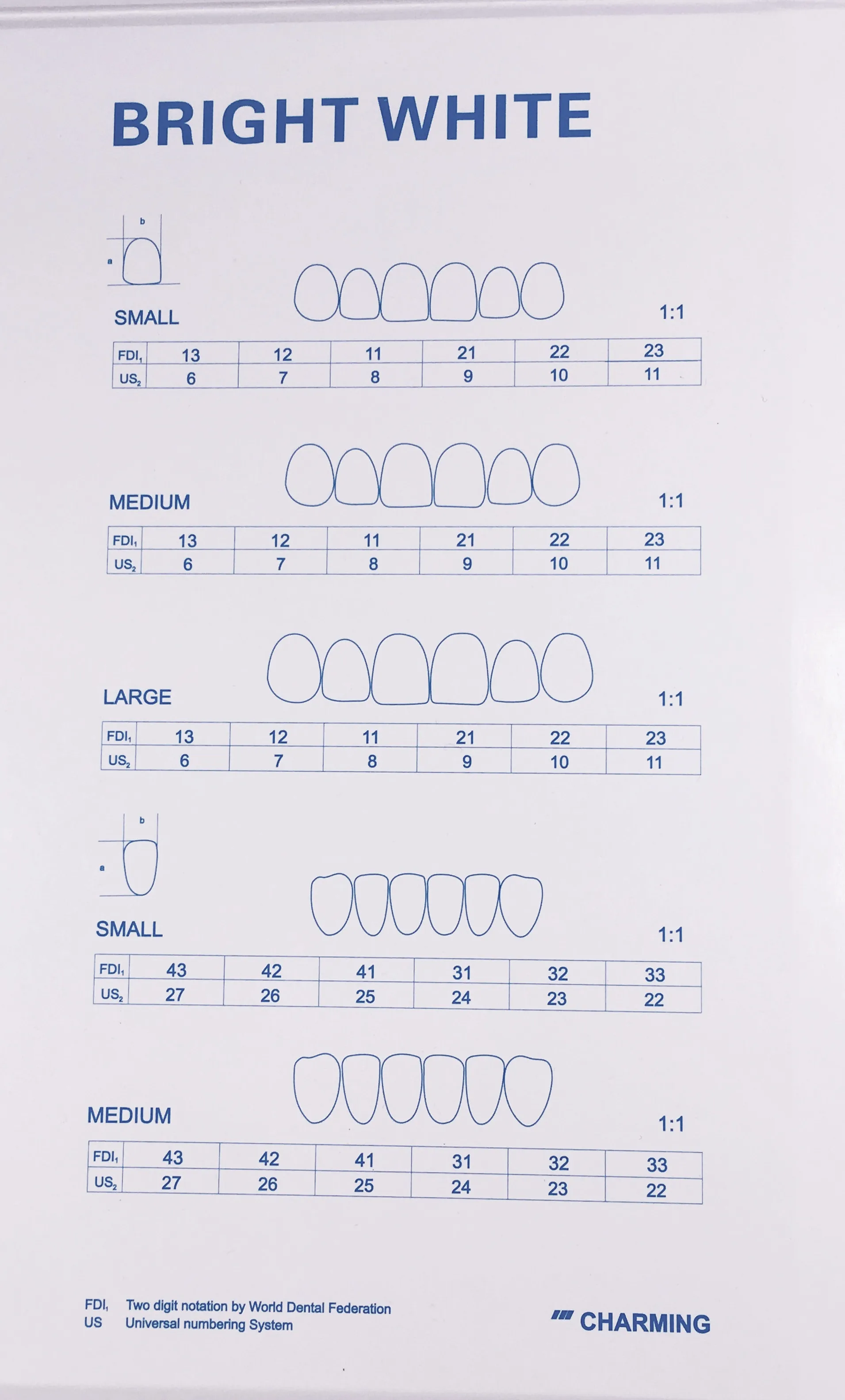 Dental Composite forniry porcelanowe górny dolny ultra-cienki przedni ząb tymczasowa korona L M S zestaw narzędzi do wybielania zębów