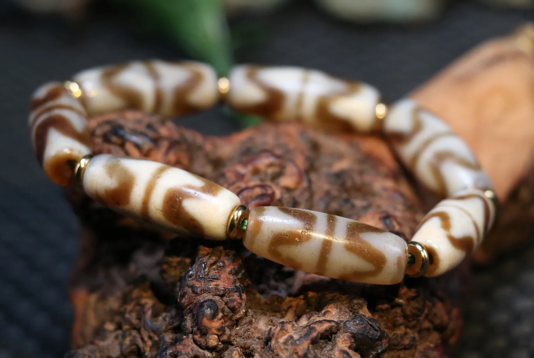 

Magic Power Tibetan Old Agate Double Tiger Tooth Symbolize Tube Shape dZi Bead Amulet Bracelet 2A Lkbrother Sauces Top Quality