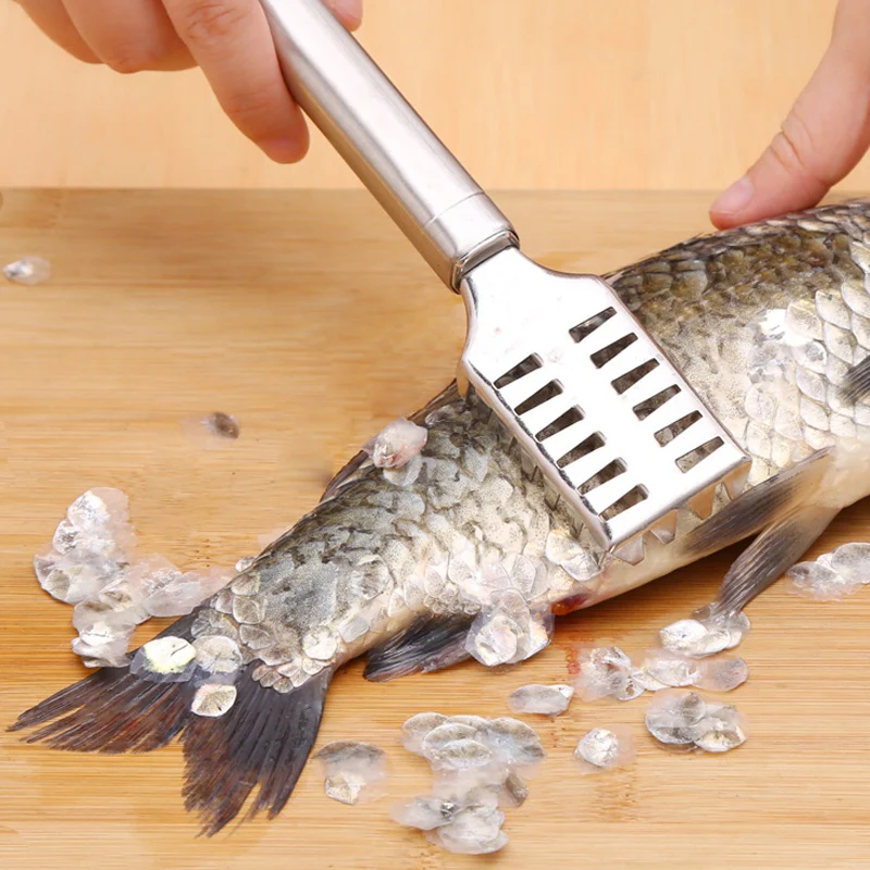 

Multi-Purpose Kitchen Scraper, for Fish, Ginger, Veggies. 23cm, Non-Slip Handle, Versatile Tool