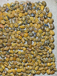 277pcs/lot boutique natural three-dimensional relief surface coin eye stone loose beads wholesale Gobi agate grain Pretty rare