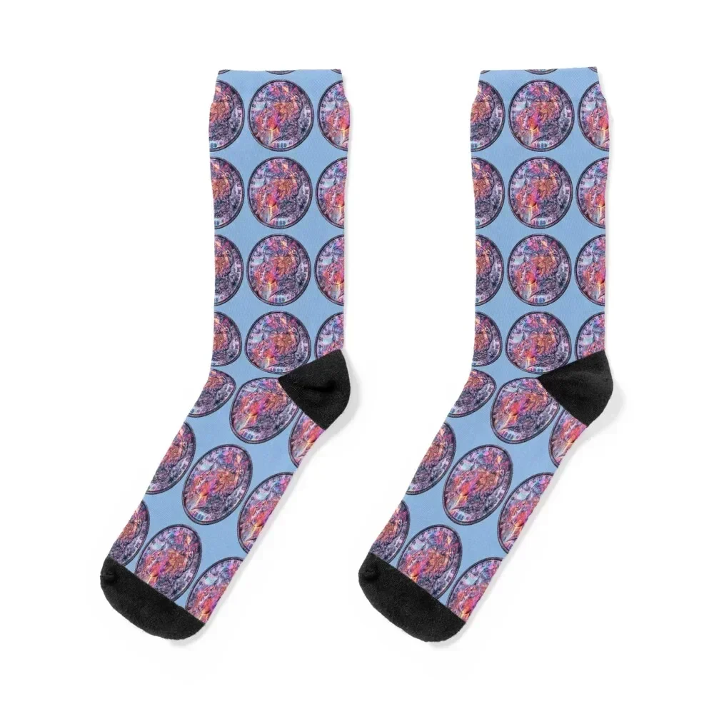

Rainbow 1885 Morgan Silver Dollar BLUE GREY Socks snow floral Running winter thermal Socks Ladies Men's