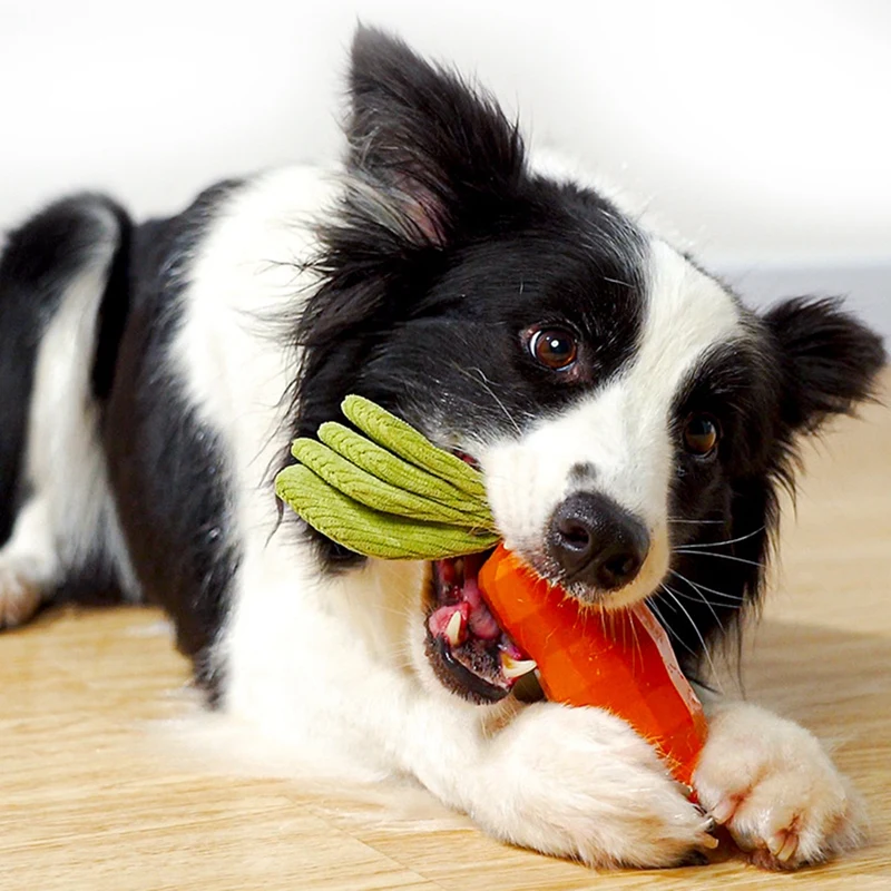 Dog Squeak Toy Indestructible Rubber Carrot Dog Training And Cleaning Toy Interactive Tough Interactive Tough