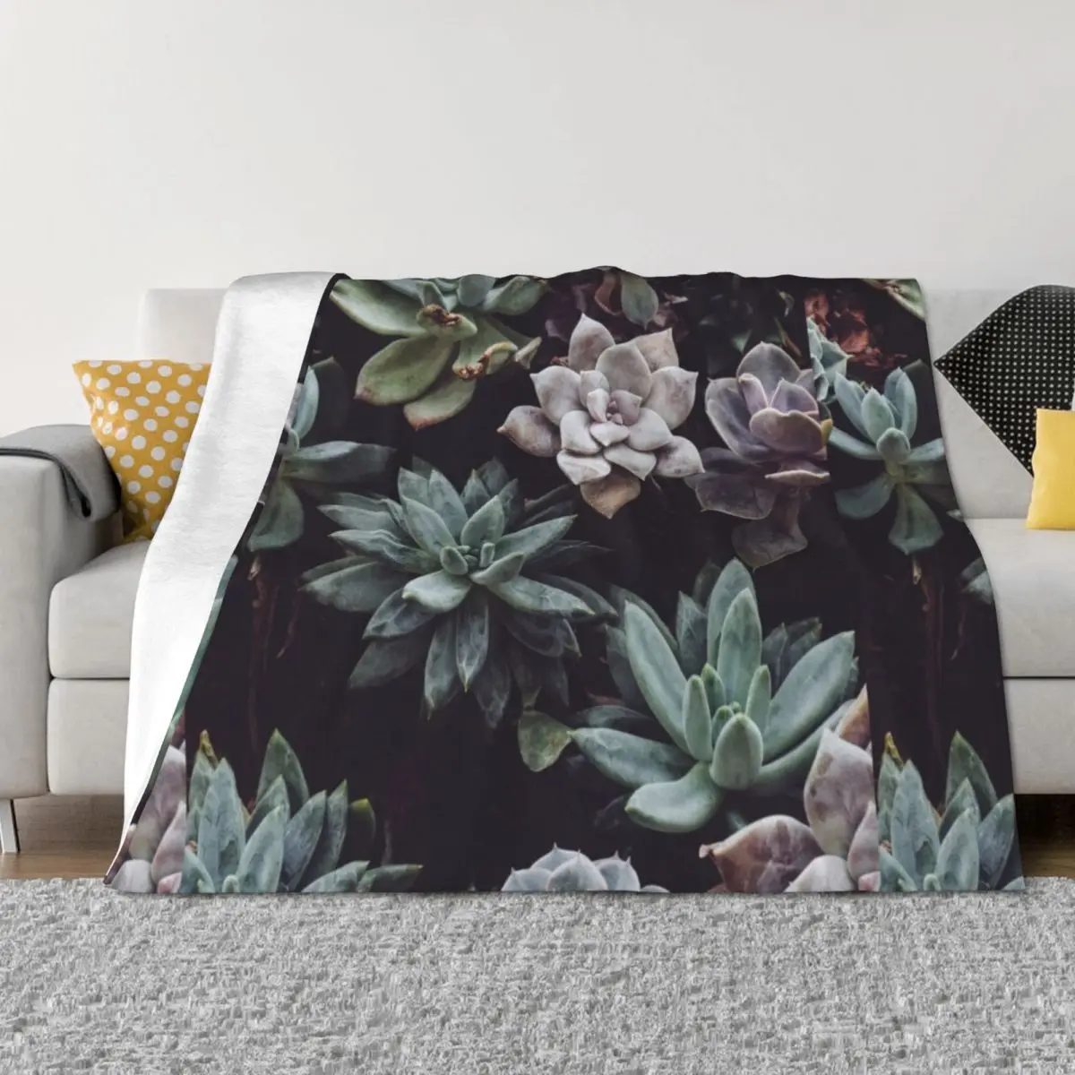 

Succulent 1 Throw Blanket blankets ands Personalized Gift Hairys Blankets